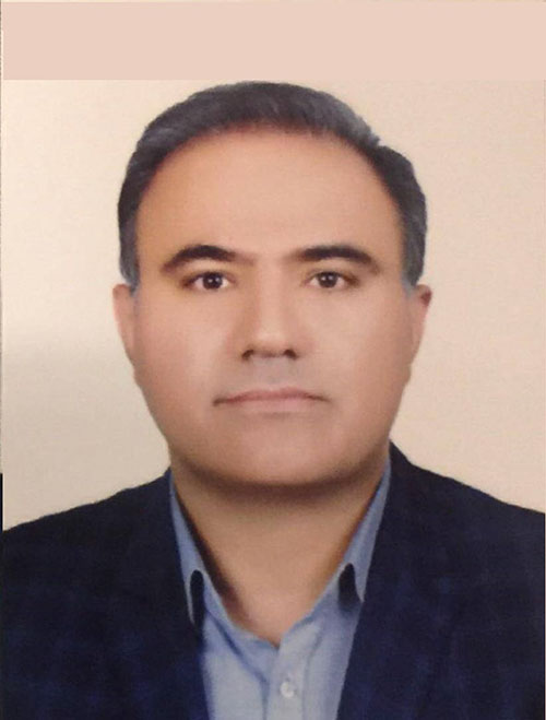 دکتر مهرزاد لطفی